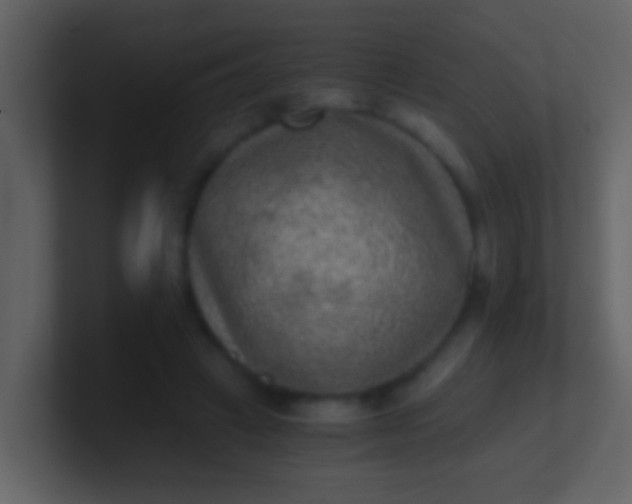 X0000100900449200807081106