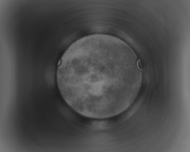 X0000100900450200807081106