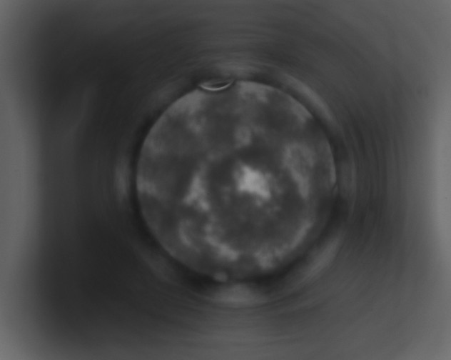 X0000100900451200807081106