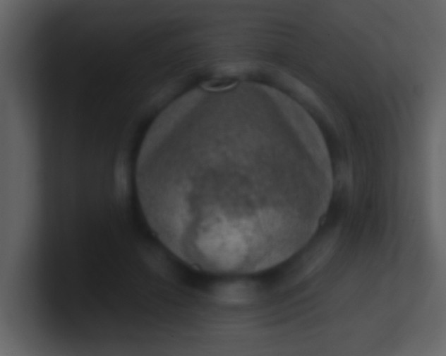 X0000100900452200807081106