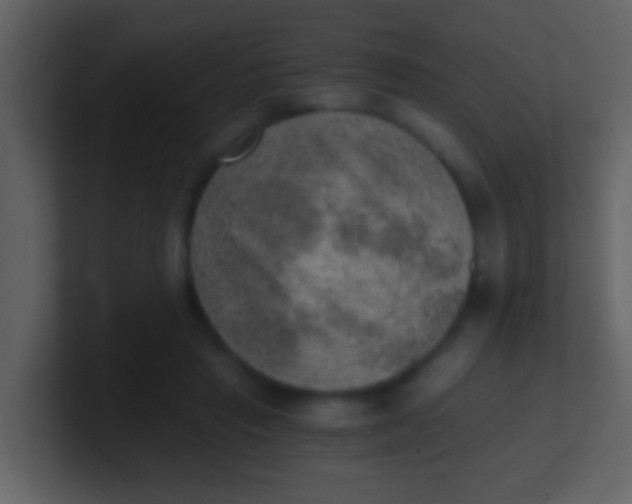 X0000100900453200807081106