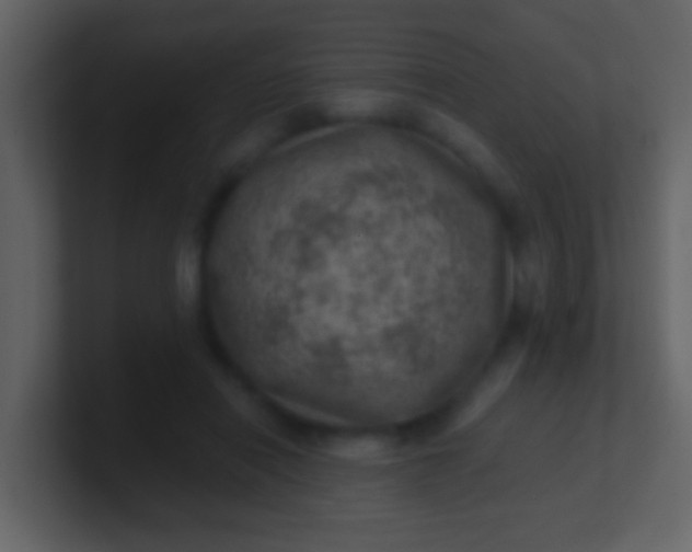 X0000100900454200807081106