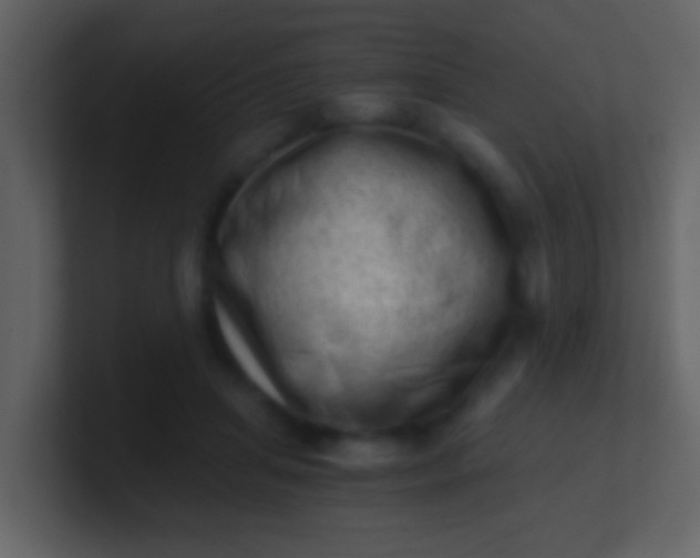 X0000100900455200807081106