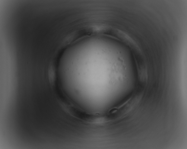 X0000100900456200807081106