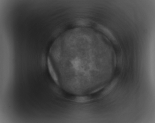 X0000100900457200807081106