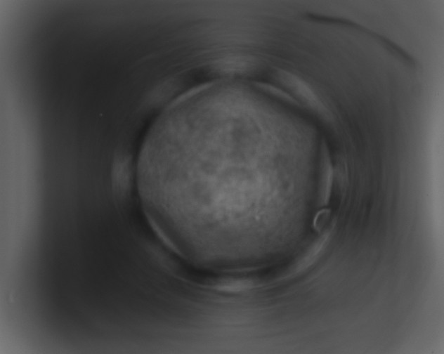 X0000100900458200807081106