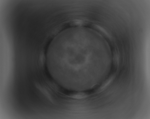 X0000100900459200807081106