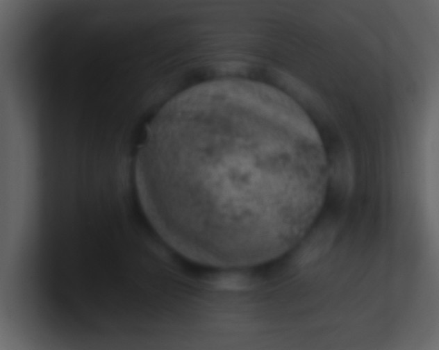 X0000100900462200807081106