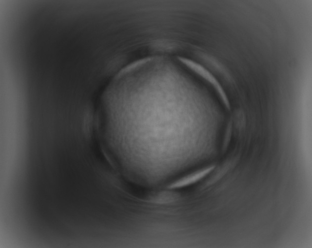 X0000100900463200807081106