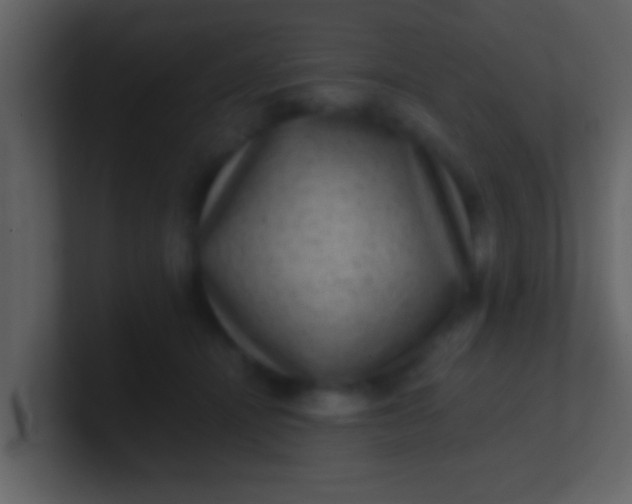 X0000100900464200807081106