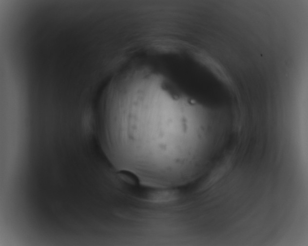 X0000100900465200807081106