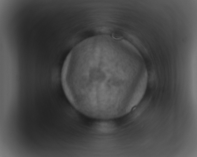 X0000100900466200807081106