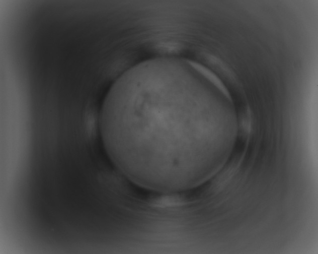 X0000100900468200807081106