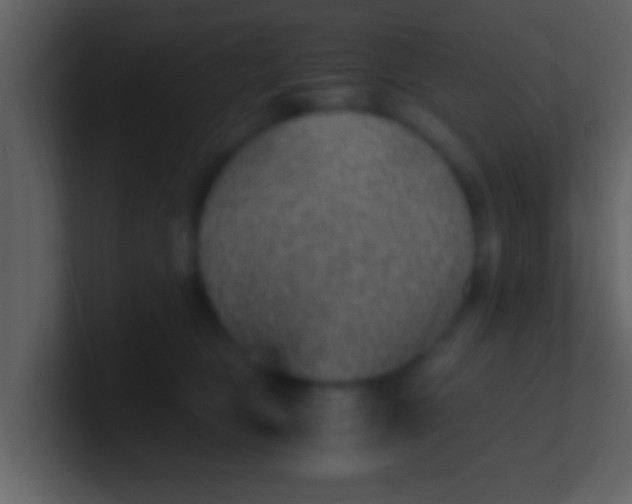 X0000100900469200807081106