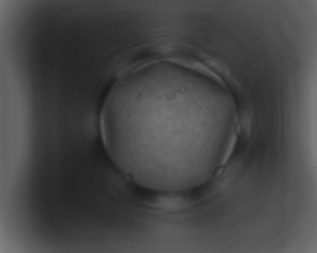 X0000100900470200807081106