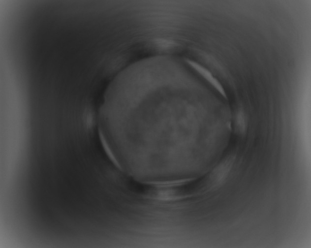 X0000100900472200807081106