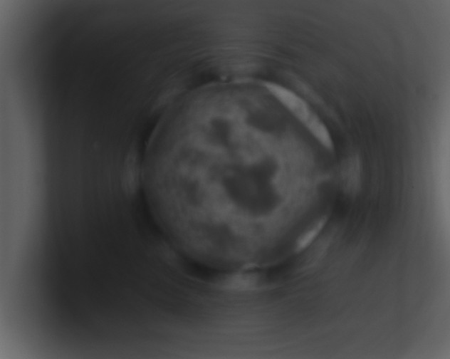 X0000100900474200807081106