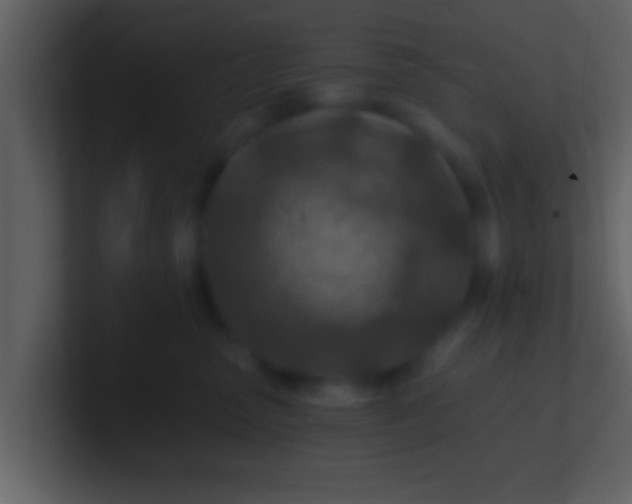 X0000100900475200807081106