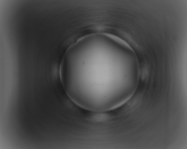 X0000100900476200807081106