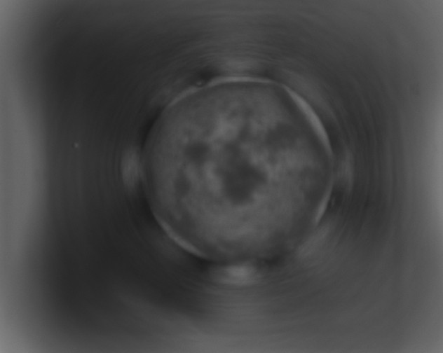 X0000100900478200807081106