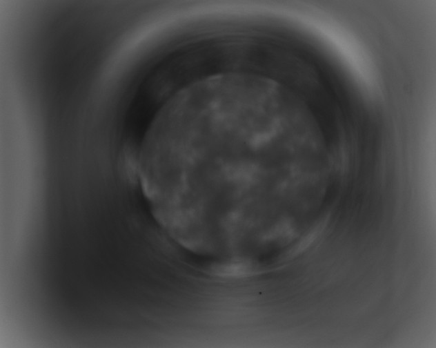 X0000100900479200807081107