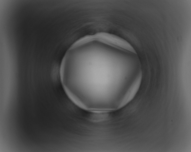 X0000100900480200807081107