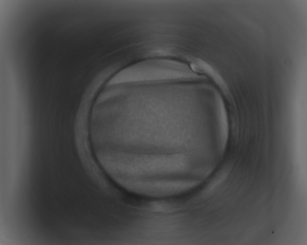 X0000100900481200807081106