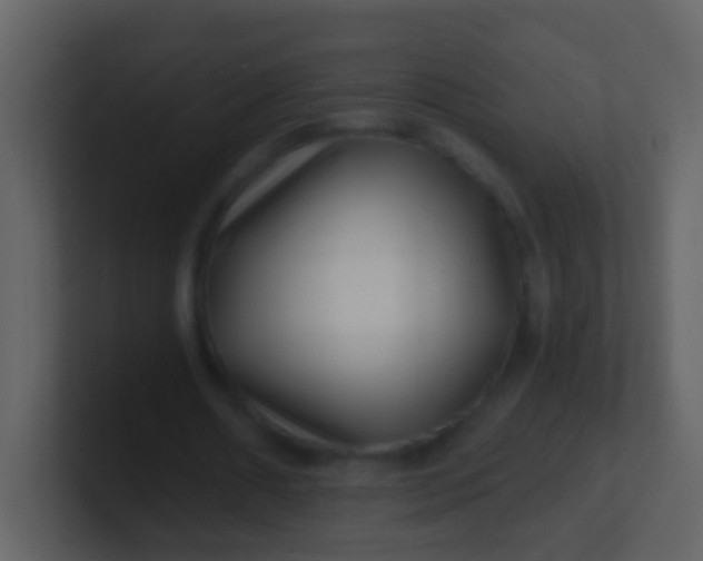 X0000100900482200807081106