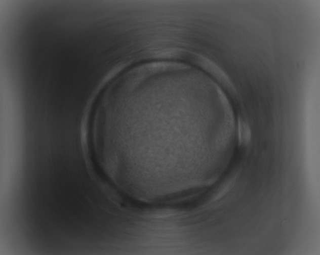 X0000100900483200807081106