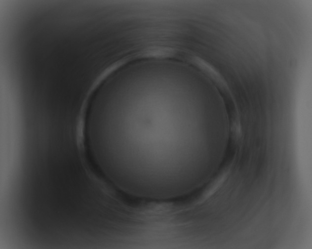 X0000100900484200807081106