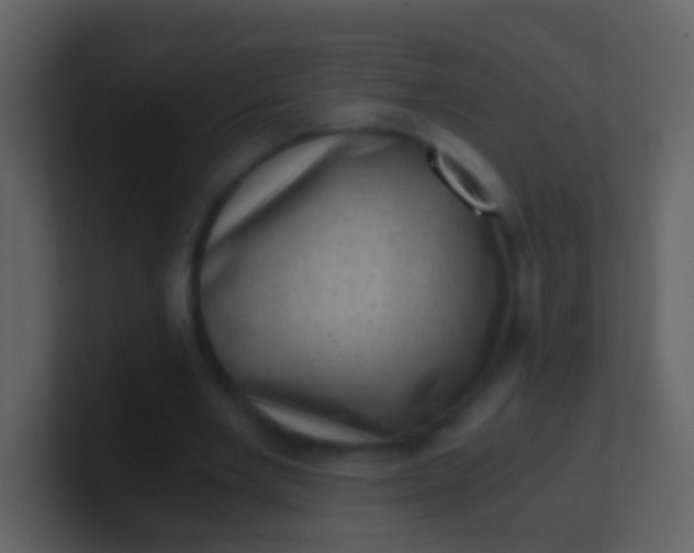 X0000100900485200807081106