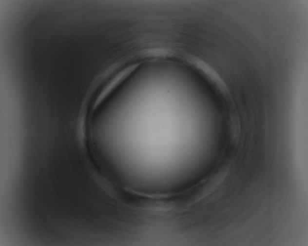 X0000100900486200807081106