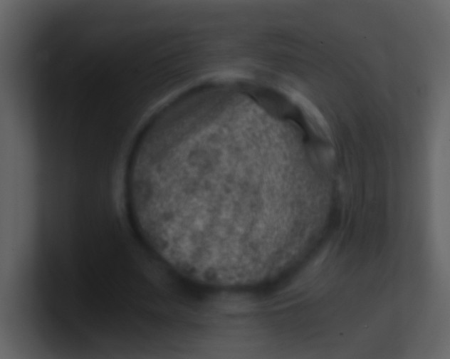 X0000100900487200807081106