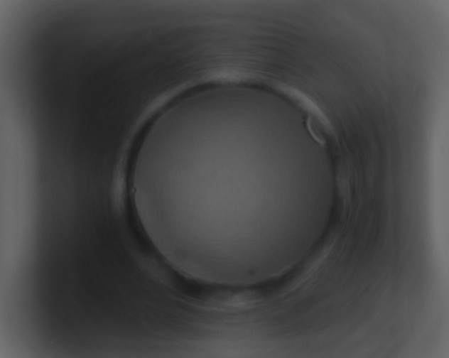 X0000100900488200807081106