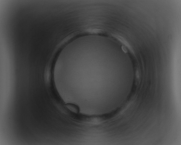 X0000100900492200807081106