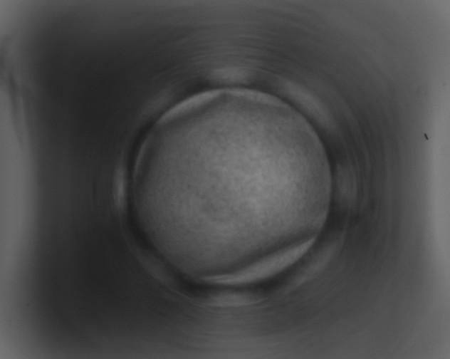 X0000100900494200807081106