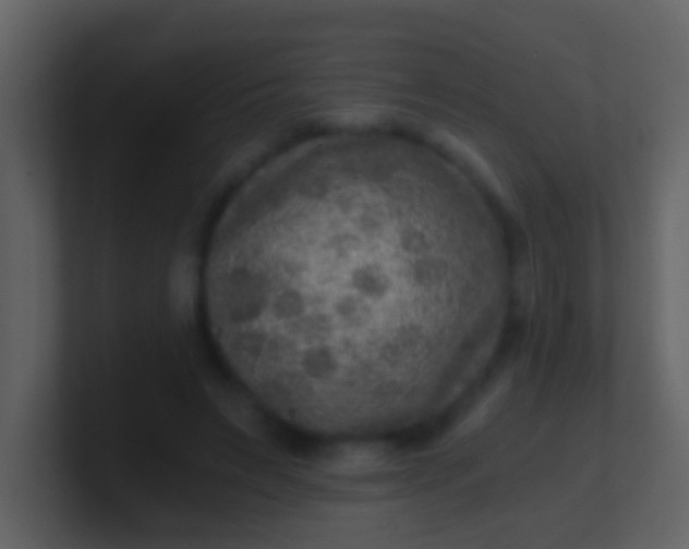 X0000100900495200807081106