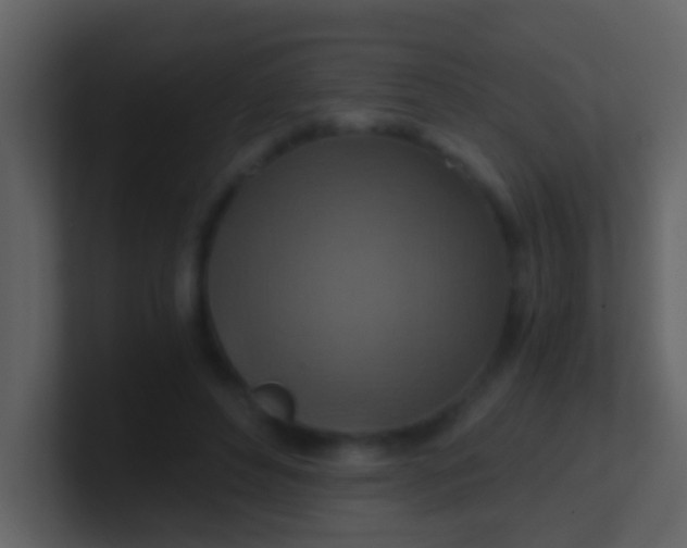 X0000100900496200807081106