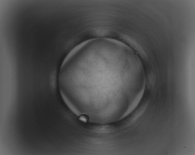 X0000100900497200807081106