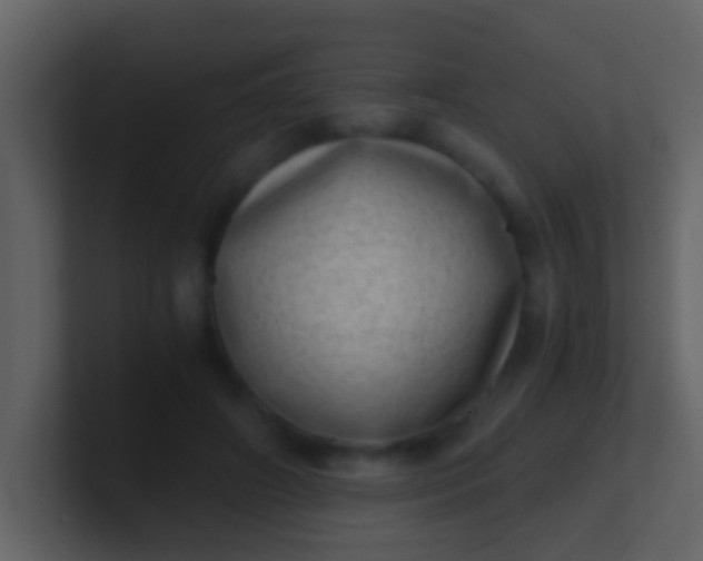 X0000100900498200807081106