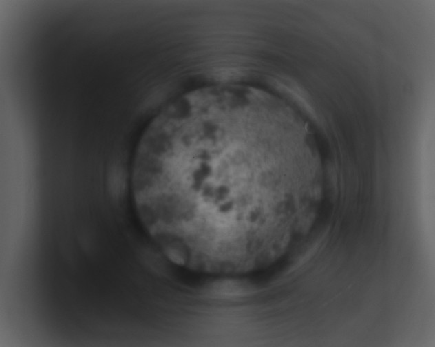 X0000100900499200807081106