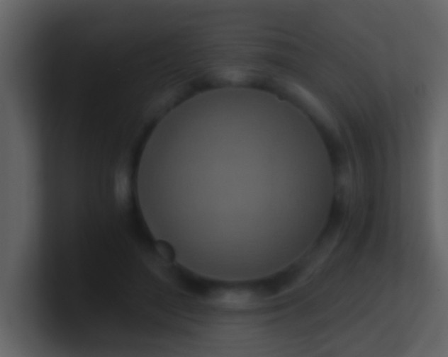 X0000100900500200807081106