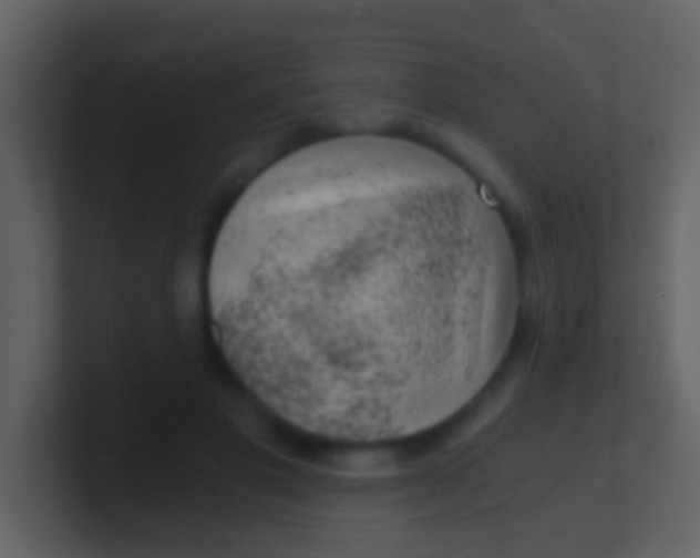 X0000100900501200807081106