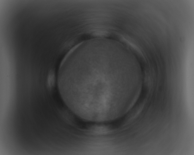 X0000100900502200807081106