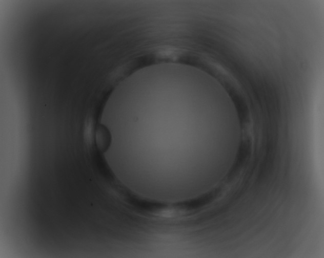 X0000100900504200807081106