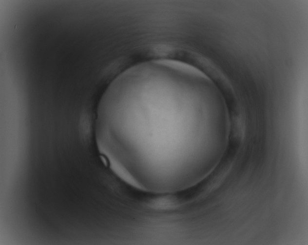 X0000100900505200807081105