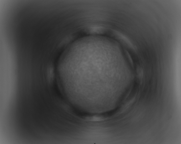 X0000100900506200807081105