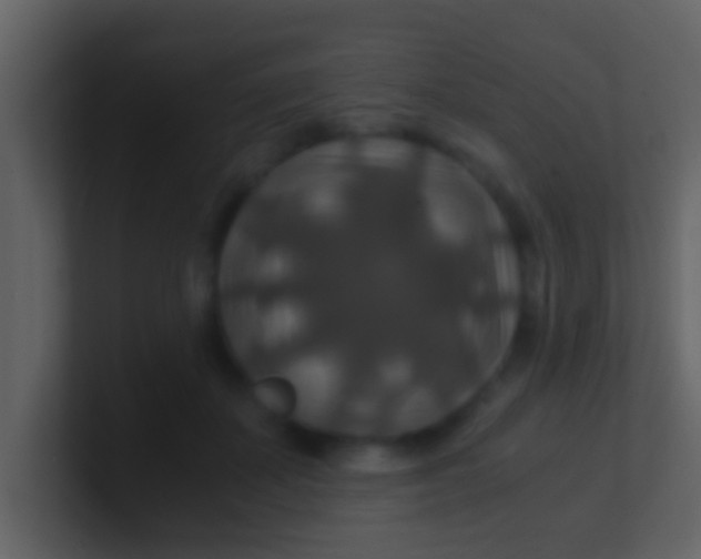 X0000100900507200807081105