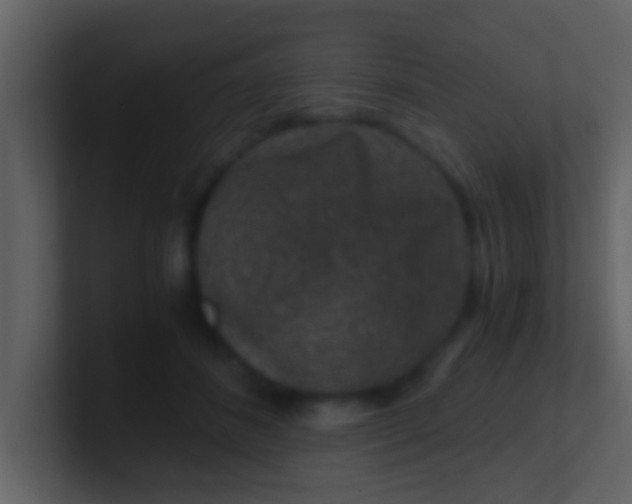 X0000100900508200807081105