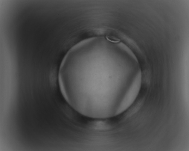 X0000100900509200807081105